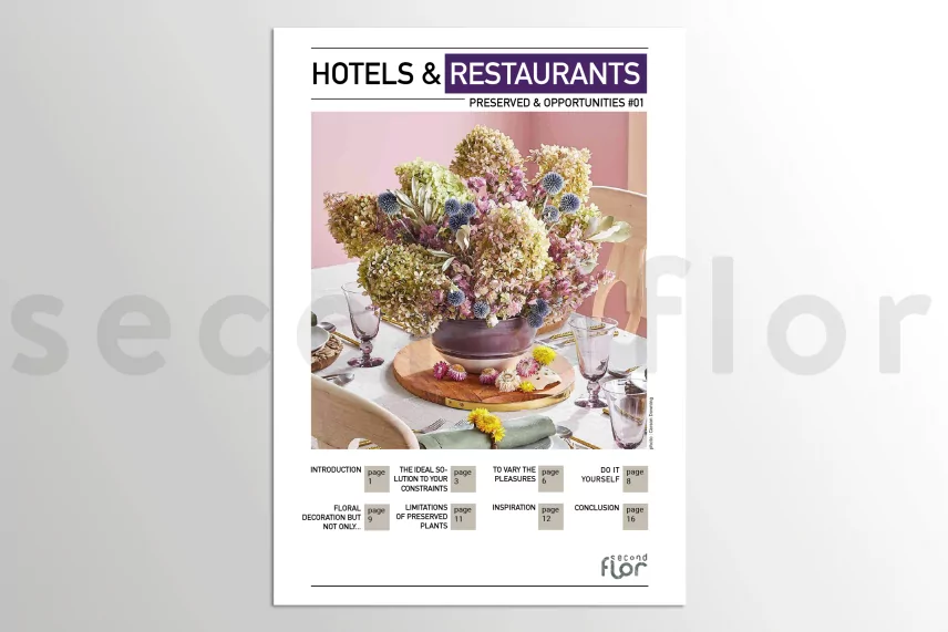 [G_EN_SF-DB-5_E]Konservierte Pflanzen & M&ouml;glichkeiten n&deg;1 - &laquo;Hotels & Restaurants&raquo;