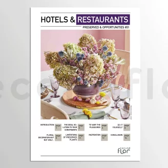 [G_EN_SF-DB-5_E]Konservierte Pflanzen & M&ouml;glichkeiten n&deg;1 - &laquo;Hotels & Restaurants&raquo;