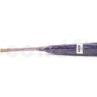 Mini pampa essiccata Lila (x15)