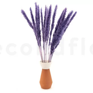 Dried Mini Pampa Lilac (x15)