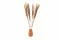 Getrocknete Mini-Pampa Natur (x15) 3