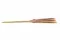 Getrocknete Mini-Pampa Natur (x15) 4