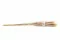 Getrocknete Mini-Pampa Natur (x15) 8