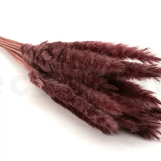 Mini Pampa s&eacute;ch&eacute;e Bordeaux (x15)
