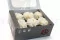 Clavel preservado Blanco (x6) 10