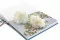 Garofano stabilizzato Bianco (x6) 8
