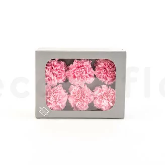 Garofano stabilizzato Rosa (x6)