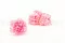 Preserved Carnation Pink (x6) 7