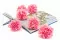 Oeillet stabilis&eacute; Rose (x6) 2