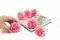 Clavel preservado Rosa (x6) 6