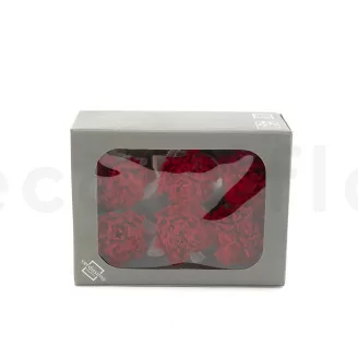 Garofano stabilizzato Rosso (x6)