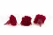 Clavel preservado Rojo (x6) 4