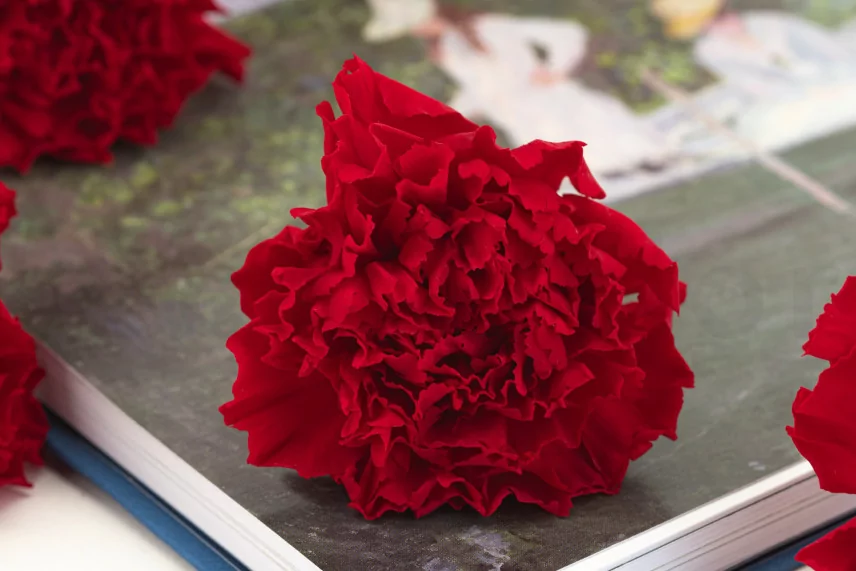 Clavel preservado Rojo (x6)