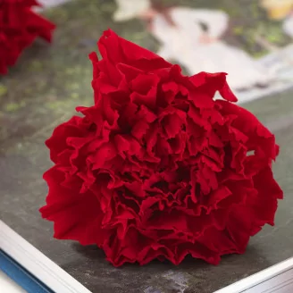 Preserved Carnation Red (x6)