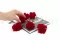 Clavel preservado Rojo (x6) 5
