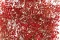 Preserved Gypsophila Red 1