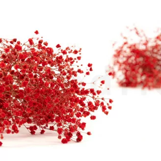 Gipsofila preservada Rojo