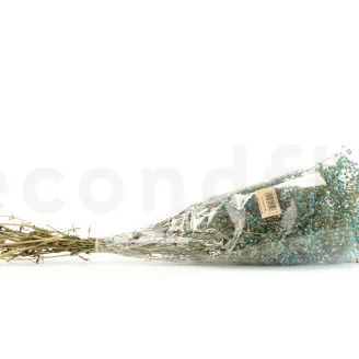 Preserved Gypsophila Blue