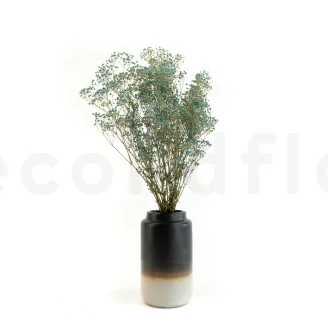 Preserved Gypsophila Blue