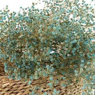 Konserviertes Schleierkraut Blau
