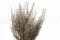 Stoebe stabilis&eacute; Argent 8