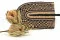Banksia Hookeriana essiccato Naturale 5