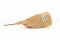 Banksia Hookeriana essiccato Rosa Vintage 11