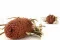 Dried Banksia Hookeriana Old Rose 9