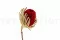 Banksia Hookeriana seco Rojo 9