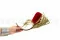 Getrocknete Banksia hookeriana Rot 7