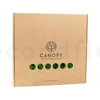 Preserved Reindeer Moss Nature Green (Box)