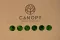 Liquen preservado Nature Green (Caja) 3