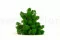 Konserviertes Islandmoos Nature Green (Box) 1