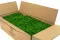 Lichen stabilis&eacute; Nature Green (Carton) 5