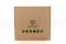 Preserved Reindeer Moss Light Green (Box) 5