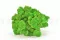 Konserviertes Islandmoos Light Green (Box) 1