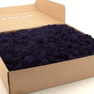 Preserved Reindeer Moss Purple (Box)