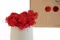 Lichene stabilizzato Rosso (Scatola) 3