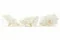 Gardenia stabilizzata Bianco (x3) 4