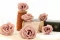 Preserved Majolica Rose Powder Pink (x6) 1