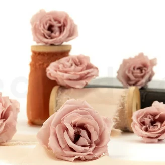 Rose Majolica stabilis&eacute;e Rose poudr&eacute; (x6)