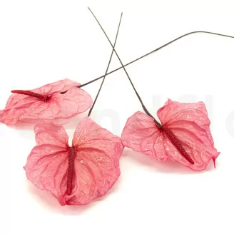 Anthurium stabilizzato Rosa (x3)