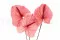 Konserviertes Anthurium Rosa (x3) 2
