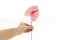 Anthurium stabilizzato Rosa (x3) 6