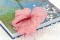 Anthurium stabilizzato Rosa (x3) 10