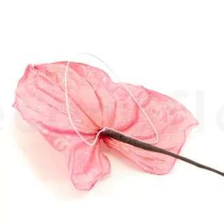 Anthurium stabilizzato Rosa (x3)