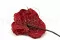 Konserviertes Anthurium Rot (x3) 6