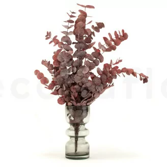 Konservierter Cinerea-Eukalyptus Rot