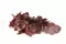 Preserved Cinerea Eucalyptus Red 10