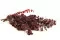Preserved Cinerea Eucalyptus Red 5
